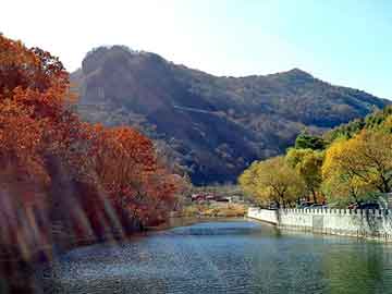 澳门二四六天天彩图库，地缚灵